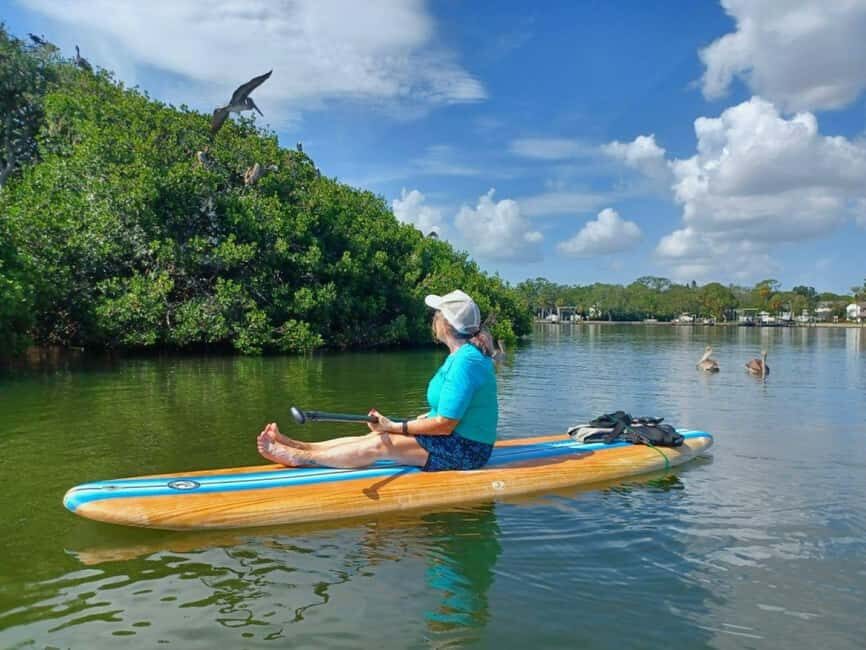 St. Petersburg: Paddle Board Tour with Wildlife Spotting - The Highlights: Wildlife & Bird Watching