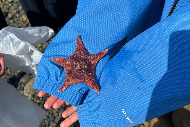 Stanley Park Indigenous Walking Tour Salish Sea and Me - Frequently Asked Questions