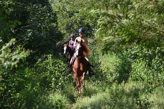 STROLL the Jungle Trails on a HORSE. Includes Transportation and Equipment. - Final Thoughts: Is It Worth It?