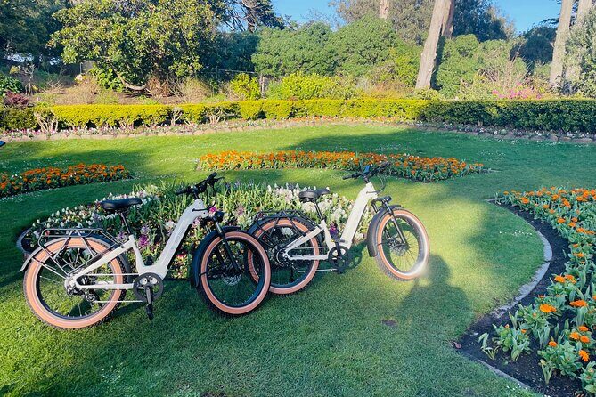 Summer of Love San Francisco Guided eBike Tour Golden Gate Park - Exploring the Itinerary: Why Each Stop Matters