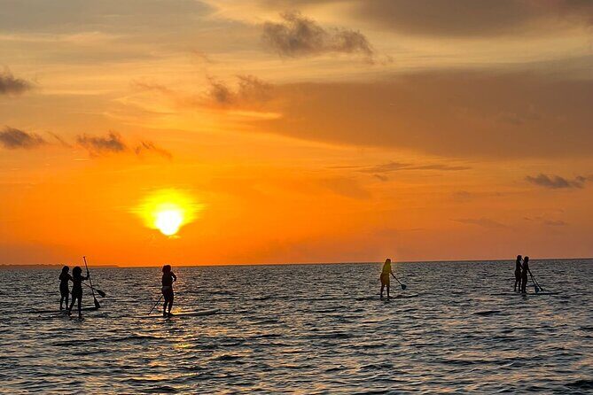 Sunrise Stand Up Paddle activity on a privileged beach. - The Sum Up