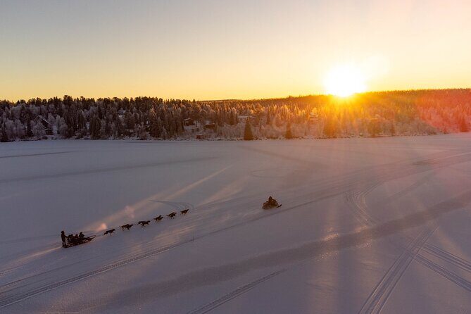Sunrise Zen Husky Tour (10:00 to 13:00 - sitting on the sled) - What Makes This Tour Stand Out?