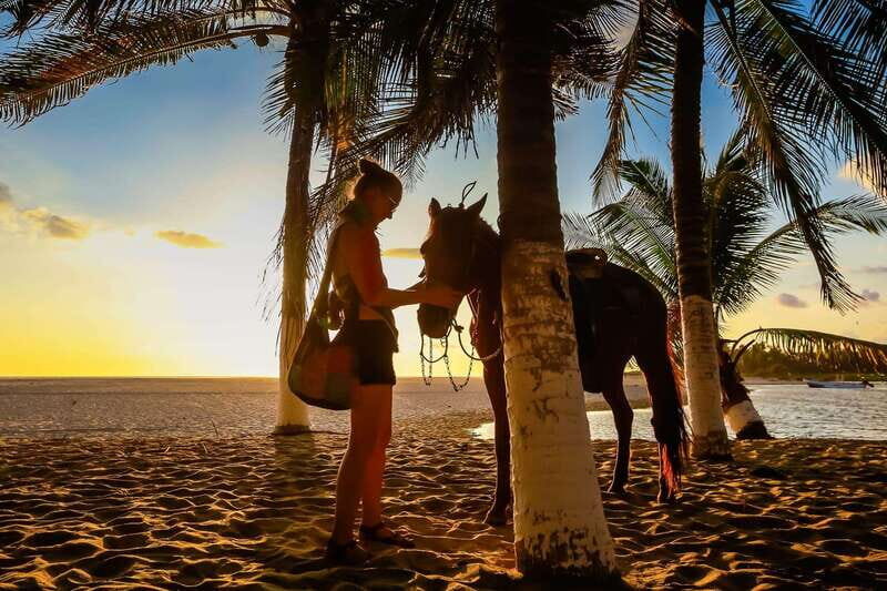 Sunset by Horse on the Beach - What to Expect: Practical Tips