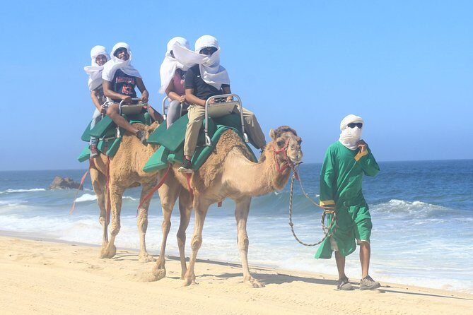 Sunset Camel Ride Tour - What to Expect on the Tour