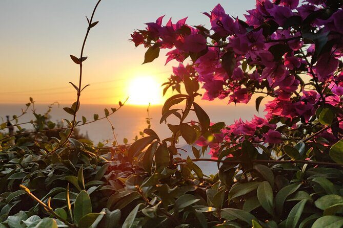 Sunset E-Bike Tour on the Sorrento Peninsula - An In-Depth Look at the Sunset E-Bike Tour