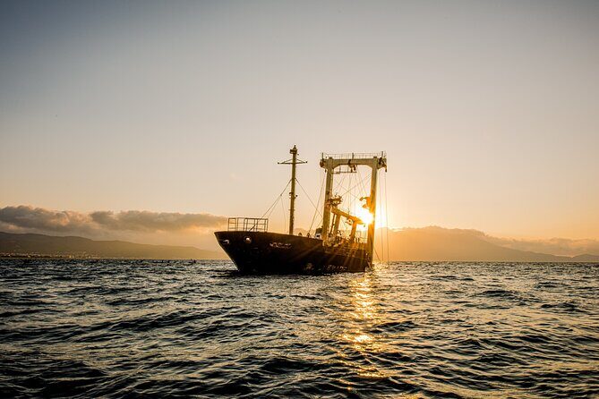 Sunset Kayak Tour to Kissamos Bay Shipwreck & Exclusive Beach - Practical Details and Considerations