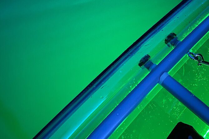 Sunset LED Clear Kayak Rentals for Glacier Park - Who Will Love This Experience?