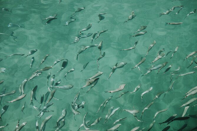 Sunset panorama & swimming with a fishes - Who Will Love This Tour?