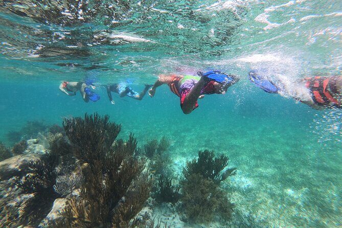 Super Combo ATV in Cancun with Zipline, Snorkel, Cenote, transfer - The Experience in Detail