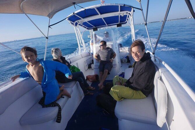 Swim Adventure with Whale Sharks in the Caribbean Sea from Riviera Maya & Cancún - What to Expect from the Tour