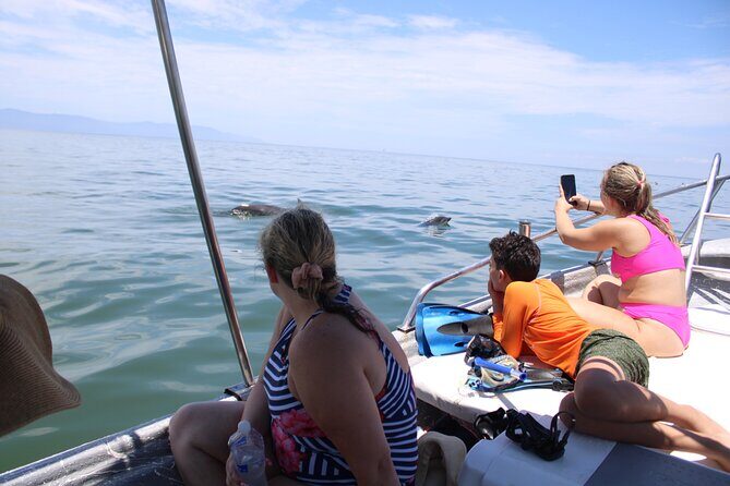 Swim and Paddle Board with Wild Dolphin Pods in Puerto Vallarta - The Experience: From Preparation to Return