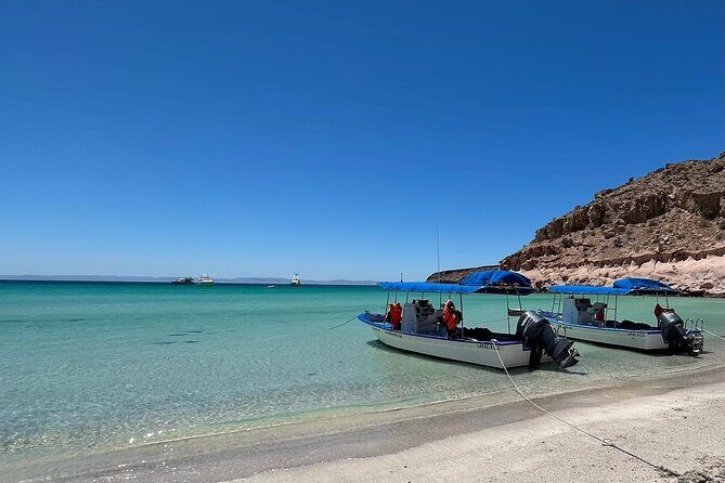 Swim with Sea Lions in La Paz - What’s Included and What’s Not