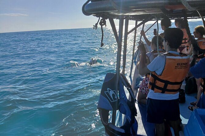 Swim with the Whale Shark on Holbox Island - What Makes This Tour Stand Out?