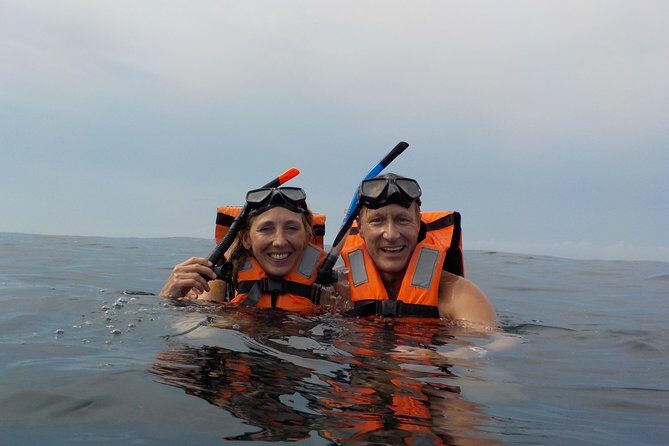 Swim with whale sharks on a private tour - What Travelers Say