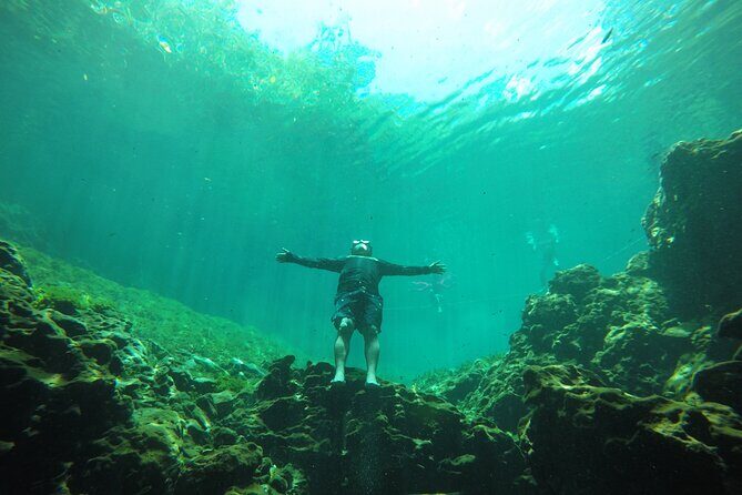 Swimming with turtles, 2 cenotes & gopro - The Itinerary in Detail