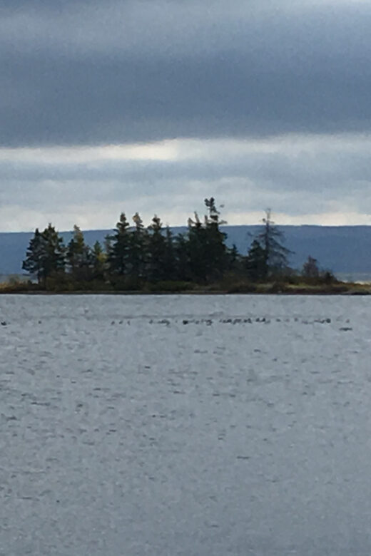 Sydney: Highland Village & Bell Museum Cruise Excursion - Key Points