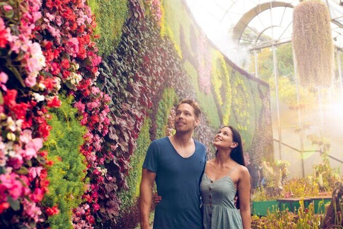 Sydney Private Tour - Pick up & Drop off - Final Thoughts