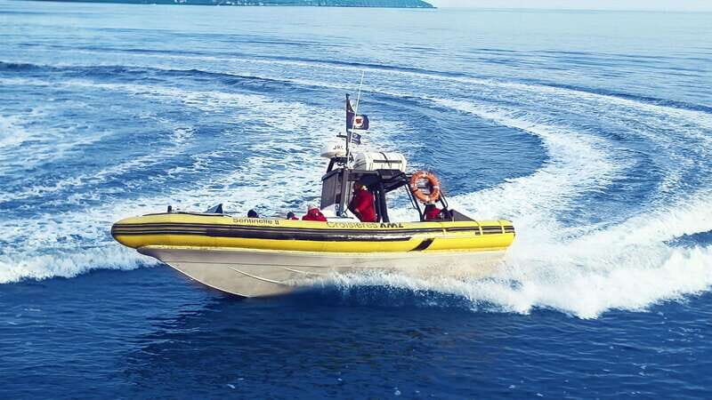 Tadoussac/Charlevoix: Whale Watching Zodiac Tour - What Marine Life Will You Likely See?