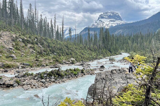 Takakkaw Falls Yoho National Park Bus Tour - The Balance of Price and Experience