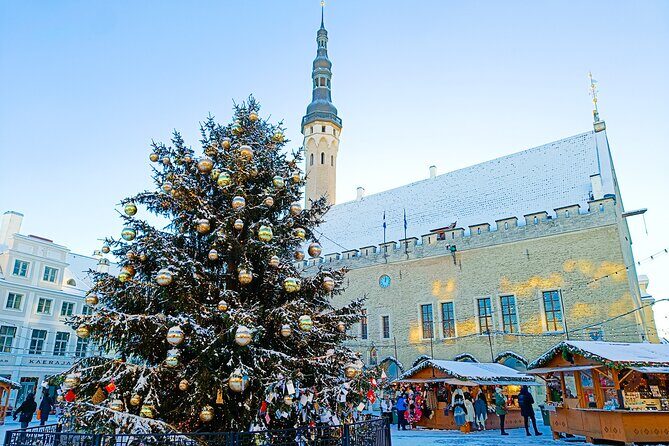 Tales of Tallinn 4 Hour Sightseeing Tour - The Guided Experience: What Sets It Apart?
