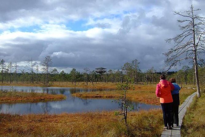 Tallinn Old Town Tour combined with Bog Walk - Analyzing the Value