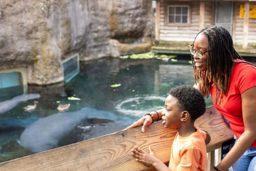 Tampa: ZooTampa at Lowry Park Ticket with After Hours Option - What Makes ZooTampa Worth Visiting? 