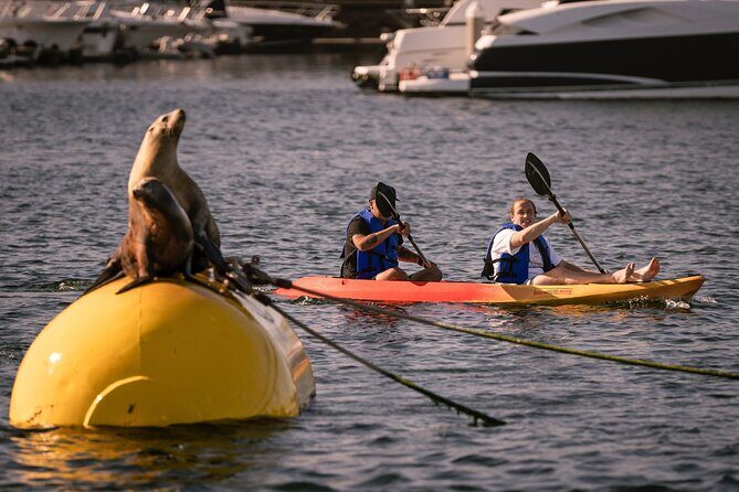 Tandem Kayak Rentals in Mission Bay - The Practicalities of Booking and Pricing