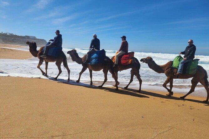 Tangier Luxury Private Day Tour From Tarifa including Camel ride - Practical Considerations