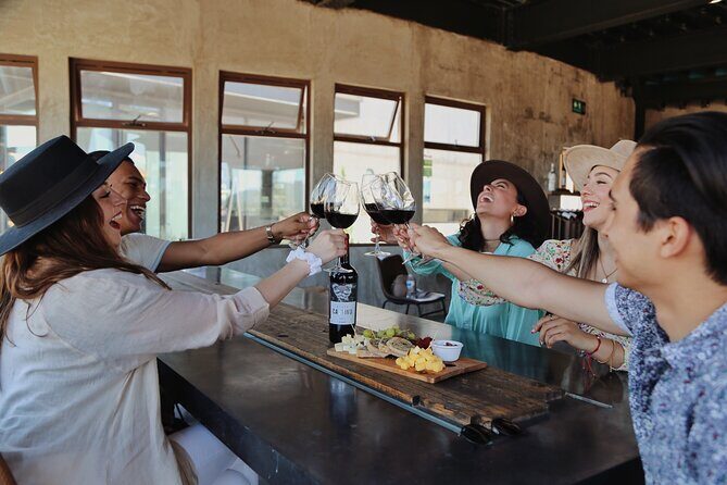 Tasting of 5 wines and tour at the winery Rondo del Valle - Authentic Experiences and Review Insights