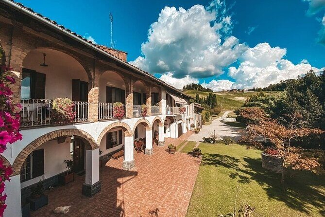 Tasting of 7 wines in the Langhe and visit to the cellar - The Wine Tasting Journey