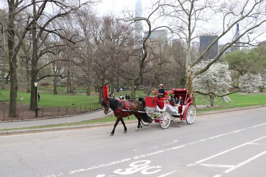 Tavern on the Green PickUp&DropOff With Horse Carriage Ride - What Makes This Ride Special?