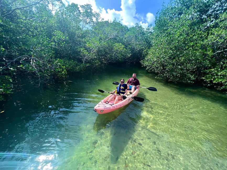Tavernier, FL: Mangrove and Manatees Guided Kayak Eco Tour - The Experience from the Traveler’s Perspective