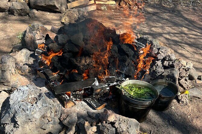 Temazcal Ceremony in Tepoztlan Healing and Tradition - Who Will Love This Experience?
