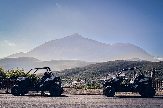 Tenerife Teide National Park Buggy Tour with Hotel Transfer - The Sum Up: Who Should Consider This Tour?