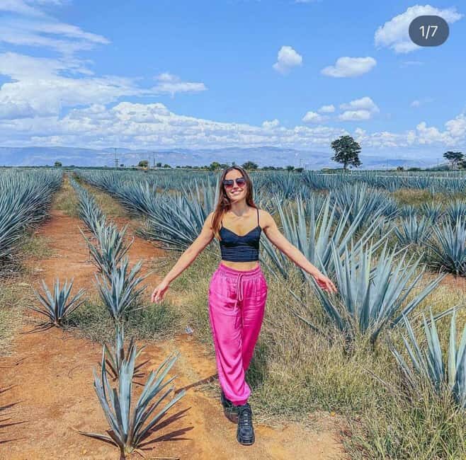 Tequila and Cantaritos Tour from Guadalajara - Practicalities and Value