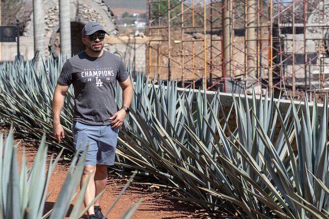 Tequila Day Trip - The Value of the Experience