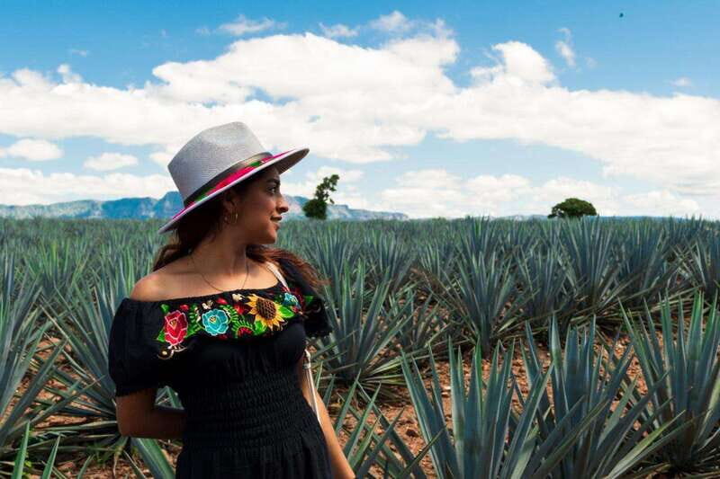 Tequila Full-Day Discovery Tour of Amatitan - Discovering Jalisco’s Tequila Heartland