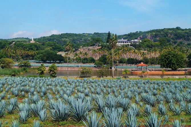 TEQUILA, The Spirit of Mexico PRIVATE TOUR - Cost and Value
