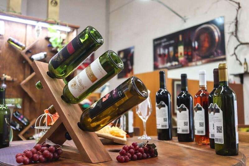 Tequisquiapan: UTV Adventure with Winery and Cheese Tasting - Itinerary Breakdown: From Start to Finish