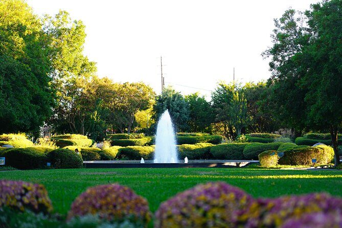 Texas Discovery Gardens General Admission - A Closer Look at What Youll Experience