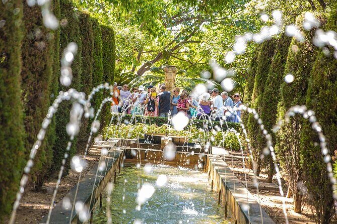 The best of Palma: walking tour, boat trip and Cathedral visit - Analyzing the Value