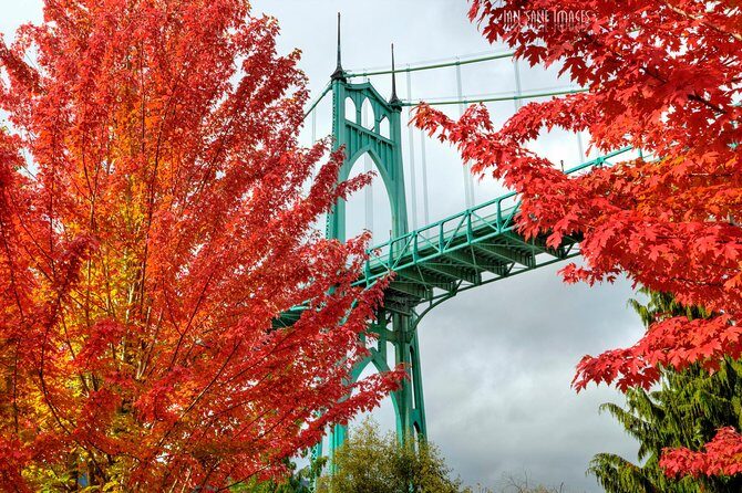 'The Best of Portland' City Tour: Small-Group Sightseeing Tour - Key Points