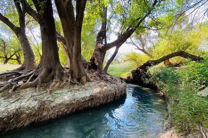 The best tour to Bustamante + Guide + transfer + tickets - Analyzing the Value