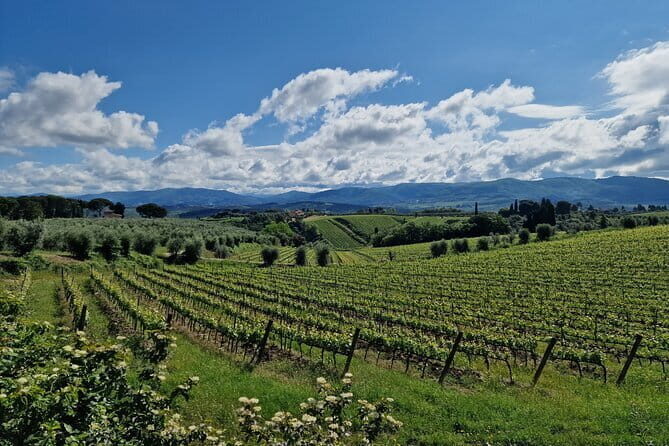 THE MASTER of Chianti Classico 3 Top Wineries Limousine Service - Authentic Experiences and Traveler Feedback