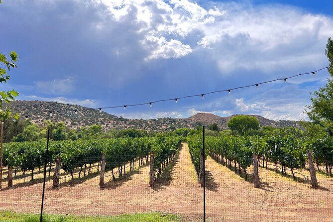 The Terrior Of The Verde Valley Wine Trail Tour - What Makes This Tour Stand Out?