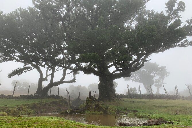 The Untraveled West Tour - Exploring the Itinerary: What You Can Expect