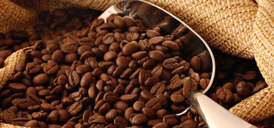 The World of Latte Art: Coffee from the Chiapas Creamy Heart - Why This Tour Works