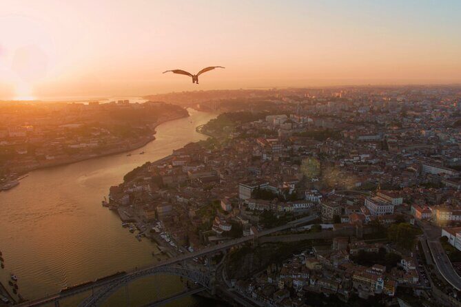 Ticket: Fly over Porto City, 5D experience for all family - What to Expect from the Experience