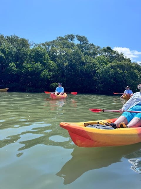 Tierra Verde: Shell Key Mangrove Private Guided 1.5 hr Tour - Detailed Breakdown of the Itinerary