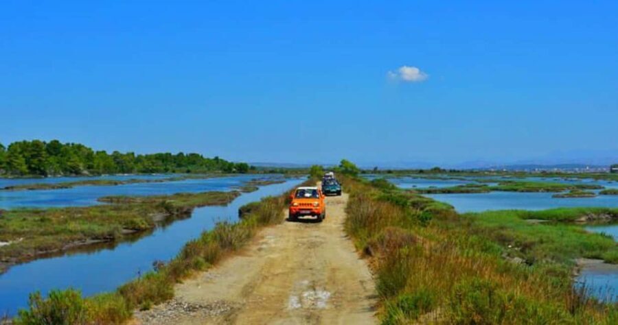 Tirana/Durres/Golem: Karavasta Lagoon Day Tour with Boat - Exploring Albania’s Natural Treasure: The Karavasta Lagoon Tour